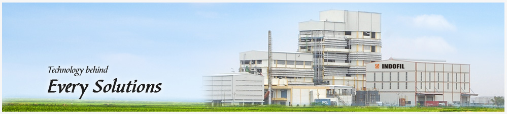 indofil banner 3